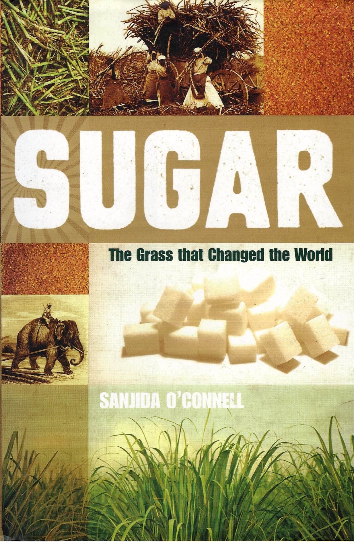 Sugar The Book I Wish had Changed the World Sanjida